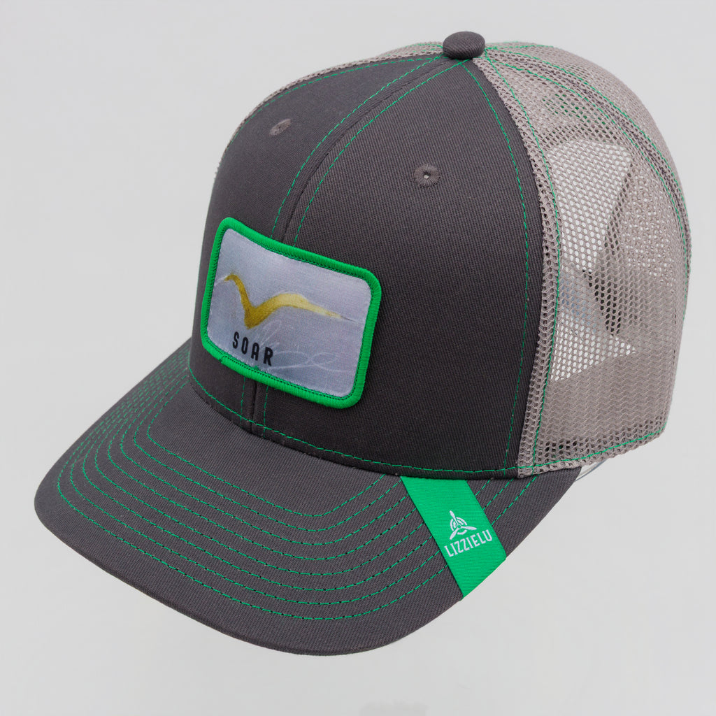 Soar Hat