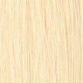 Blonde Hair Insert